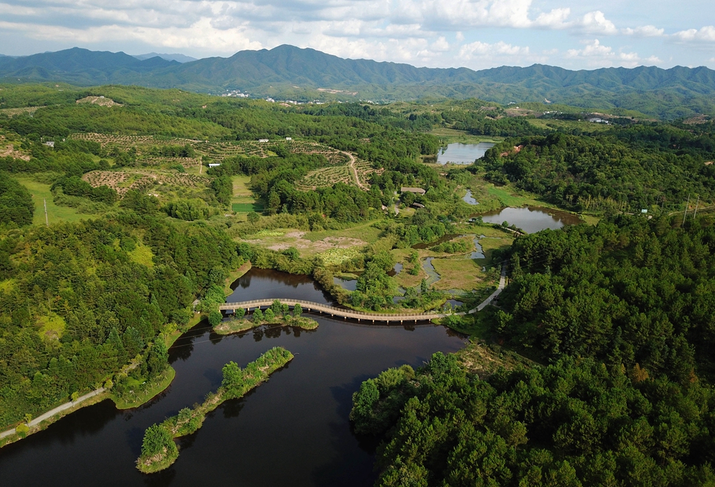福建省龍巖市長(zhǎng)汀縣的長(zhǎng)汀汀江國(guó)家濕地公園景色（2020年7月28日攝，無(wú)人機(jī)照片）。新華社記者 魏培全 攝